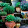 Better Homes & Gardens Herb Gardening Better Homes & Gardens Herb Gardening