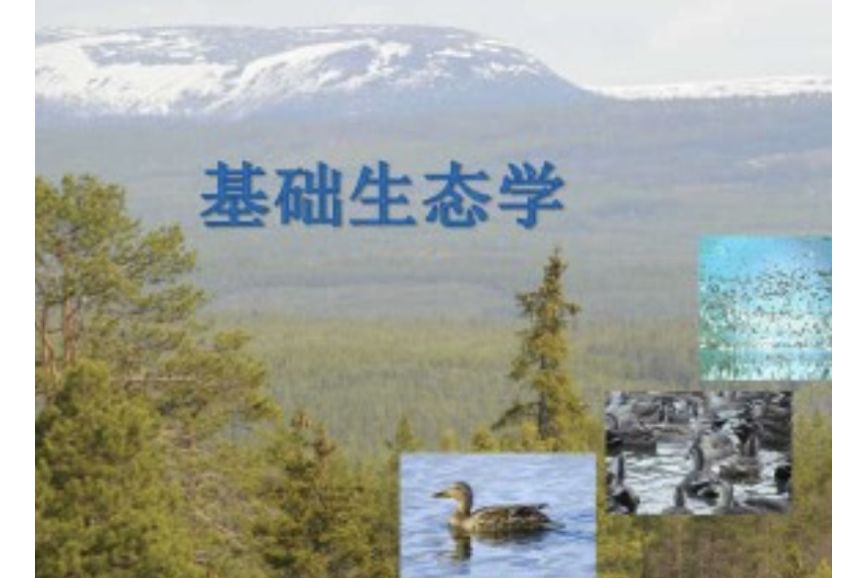 基礎生態學(國家級一流本科課程) 基礎生態學(國家級一流本科課程)