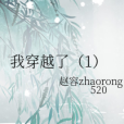 我穿越了(1) 我穿越了(1)