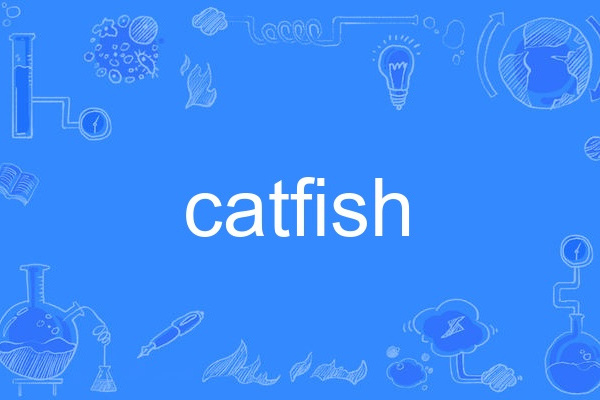 Catfish Catfish