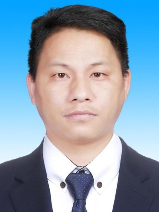 李偉(雲南省武定縣獅山鎮人民政府副鎮長)
