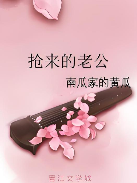 搶來的老公(晉江文學城小說) 搶來的老公(晉江文學城小說)