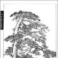松柏篇 松柏篇