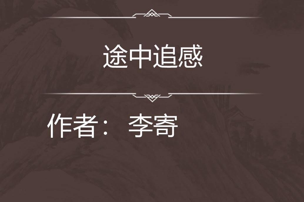 途中追感 途中追感