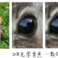 數碼變焦