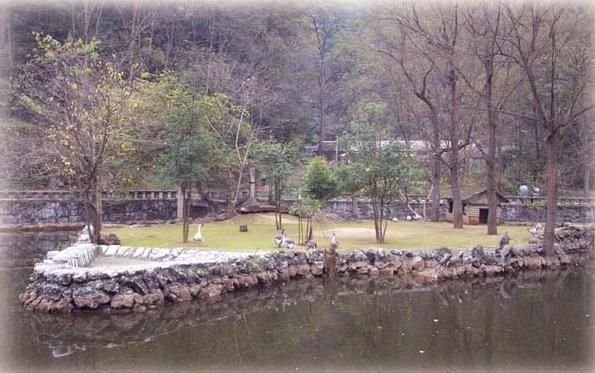 三嶺灣獼猴觀賞園