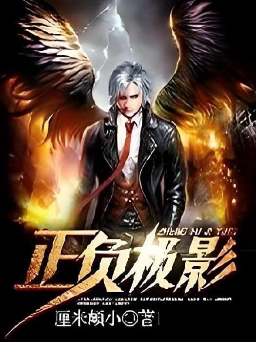 正負極影 正負極影