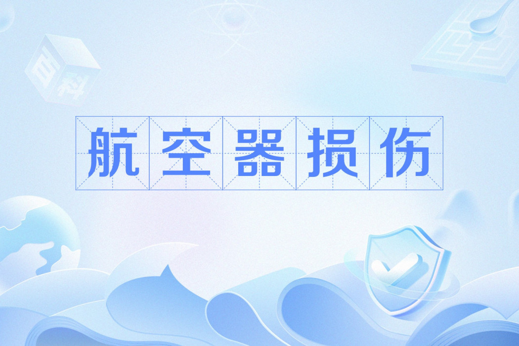 航空器損傷 航空器損傷