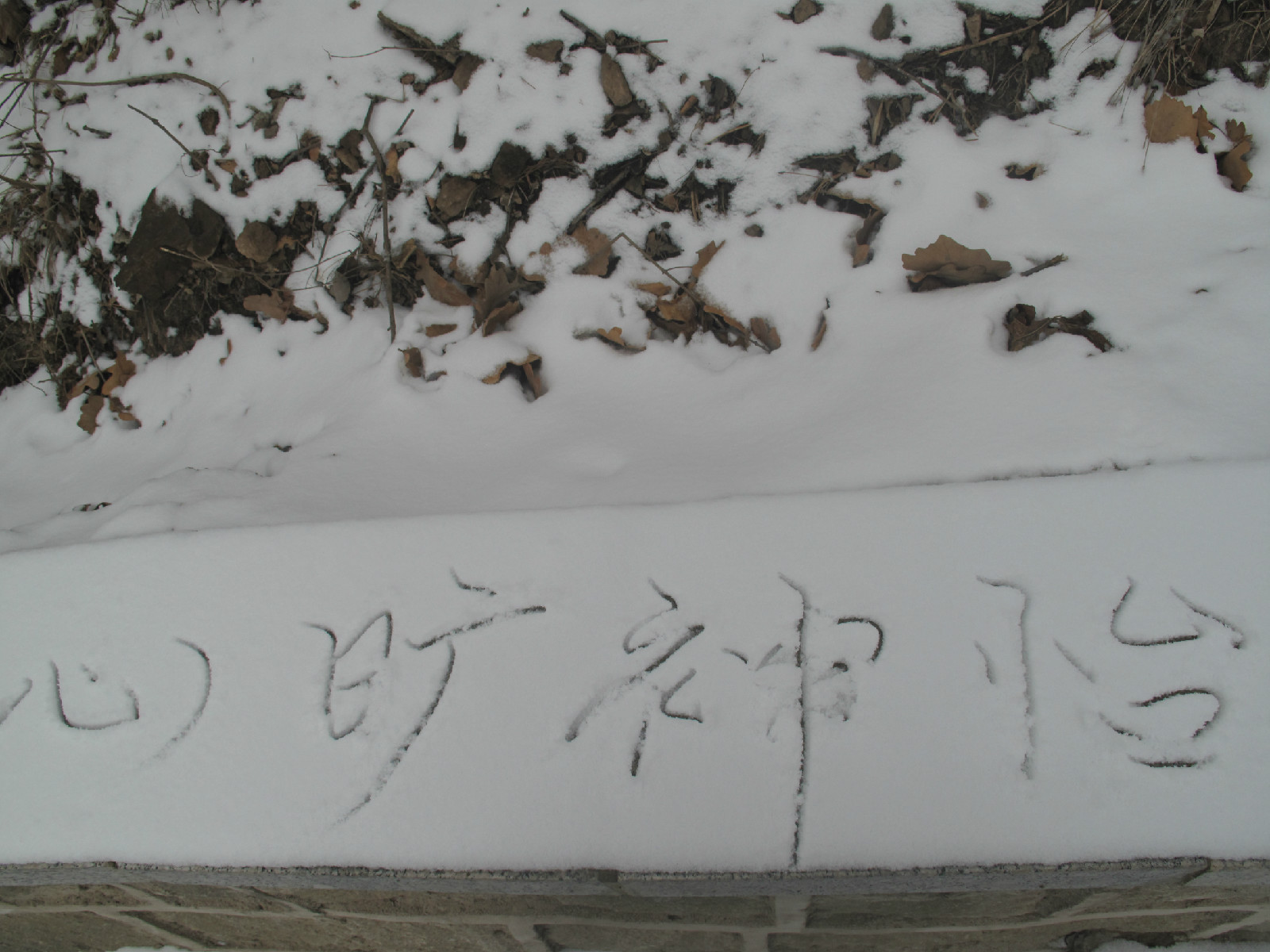 雪後遊客的信手塗鴉