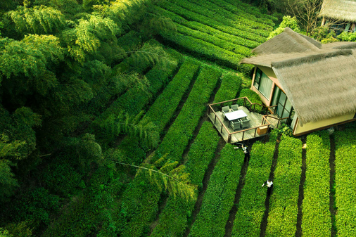 茶園酒樓