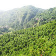 石洞山(天水市清水縣石洞山) 石洞山(天水市清水縣石洞山)