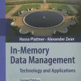 In-Memory Data Management(2012年Springer出版的圖書) In-Memory Data Management(2012年Springer出版的圖書)