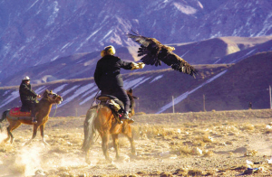 (10圖片)柯爾克孜人和鷹有個約定-放鷹