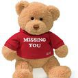 bear(英文單詞) bear(英文單詞)