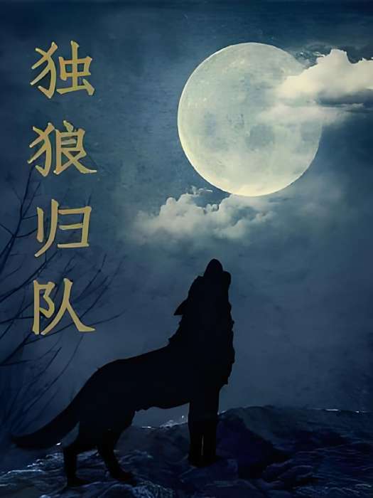 獨狼歸隊 獨狼歸隊