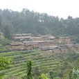 小乾溝村(雲南紅河州石屏縣哨沖鎮下轄村) 小乾溝村(雲南紅河州石屏縣哨沖鎮下轄村)