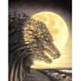 Moondog Moondog Trilogy Mass Market Paperback Moondog Moondog Trilogy Mass Market Paperback