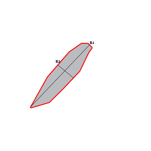 圖中R1為最長徑，R2為與其相垂直的最長徑