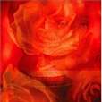 Blood Red, Sister Rose Blood Red, Sister Rose