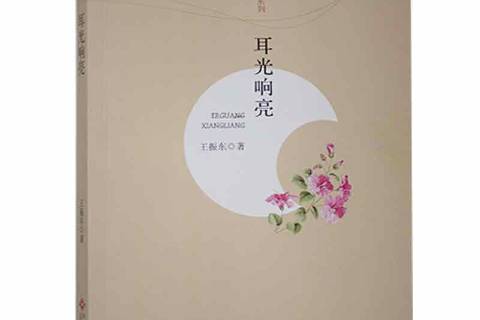 耳光響亮(2017年江西高校出版社出版的圖書)