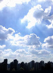 何音 何音