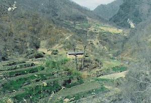 1986年發現的團山河巢區