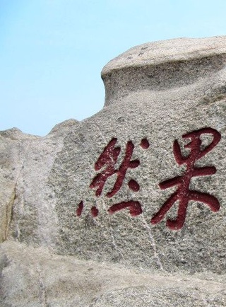 王羊 王羊