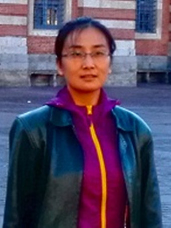 何珺(北京師範大學副教授) 何珺(北京師範大學副教授)