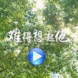 難得想起他 難得想起他