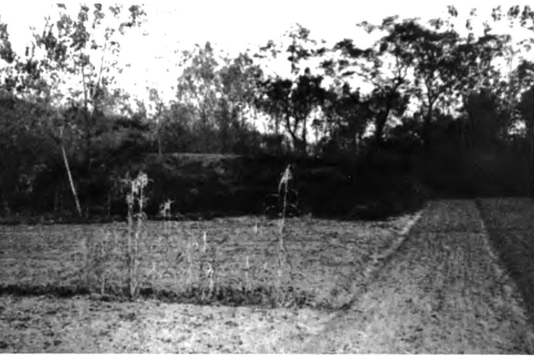 窯墩遺址(武漢市新洲區境內遺址) 窯墩遺址(武漢市新洲區境內遺址)