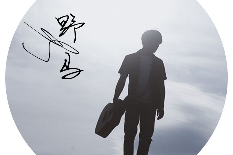 野馬(田書臣演唱歌曲) 野馬(田書臣演唱歌曲)