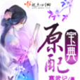 原配寶典(寒武記書籍) 原配寶典(寒武記書籍)