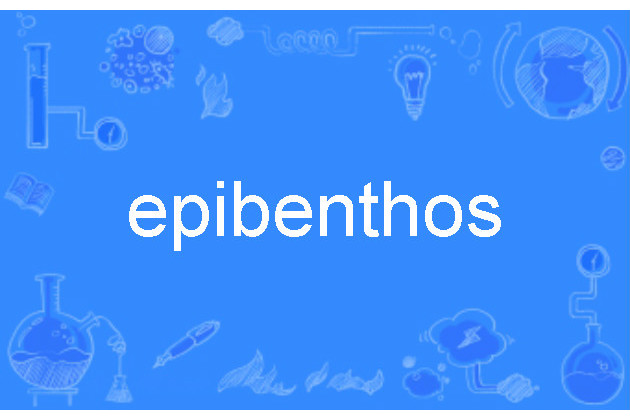 epibenthos epibenthos