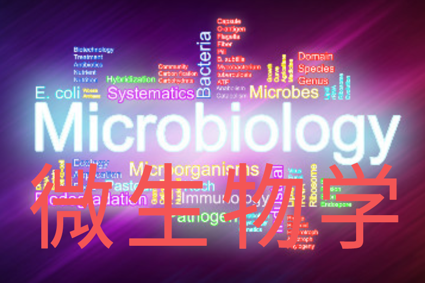 微生物學(廈門大學提供的慕課) 微生物學(廈門大學提供的慕課)