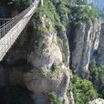 靈岩松舞 靈岩松舞