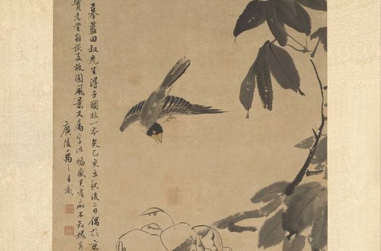 桐禽圖 桐禽圖