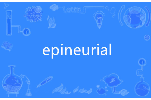 epineurial epineurial