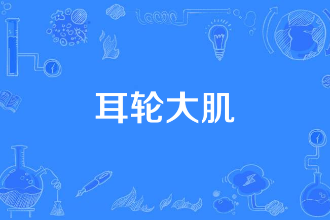 耳輪大肌