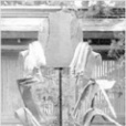 仙石秀九 仙石秀九