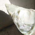 米達料
