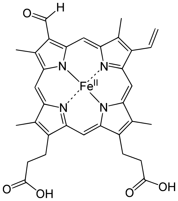 血綠蛋白 血綠蛋白