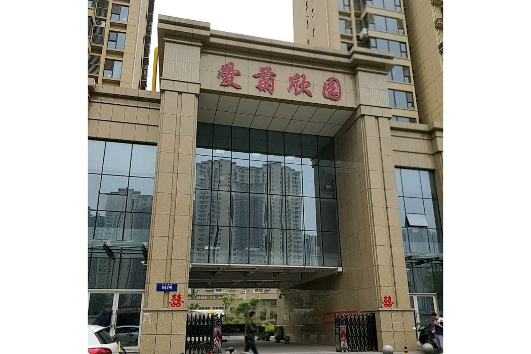 愛菊欣園 愛菊欣園