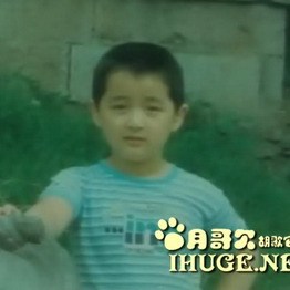 胡歌 胡歌
