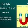 電泳處理 電泳處理
