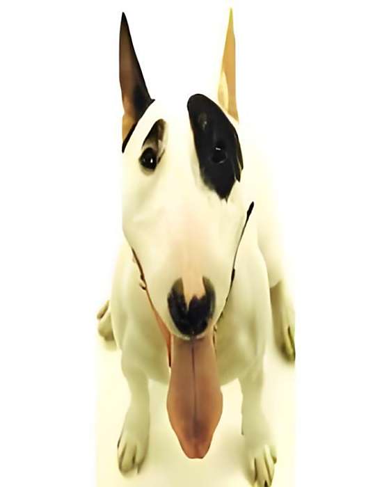 妖狗第二季