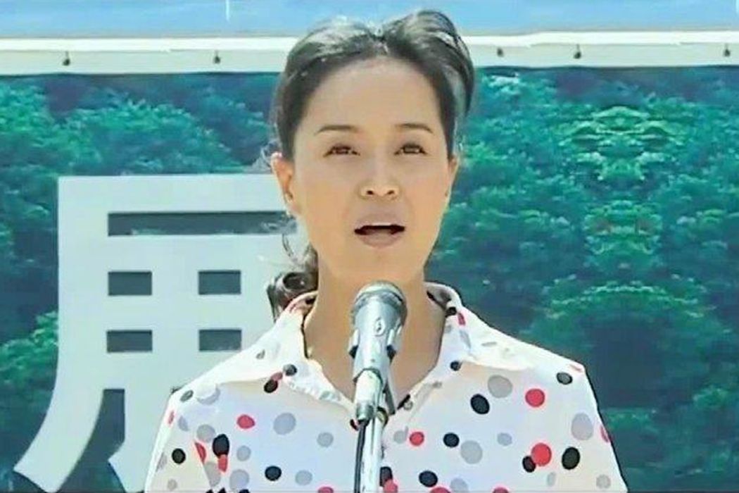 陳蓮花(《女人的村莊》中的一個角色) 陳蓮花(《女人的村莊》中的一個角色)