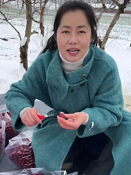 水果產品 水果產品