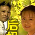 後媽(1996年耐安、金鑫主演電視劇)