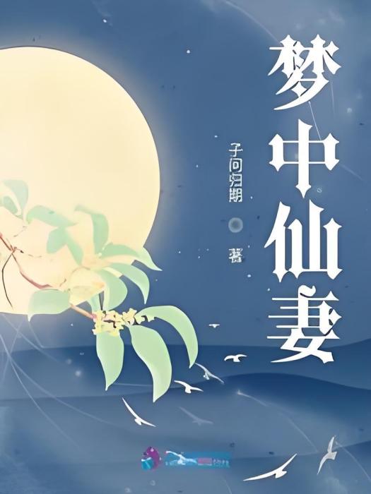 夢中仙妻 夢中仙妻