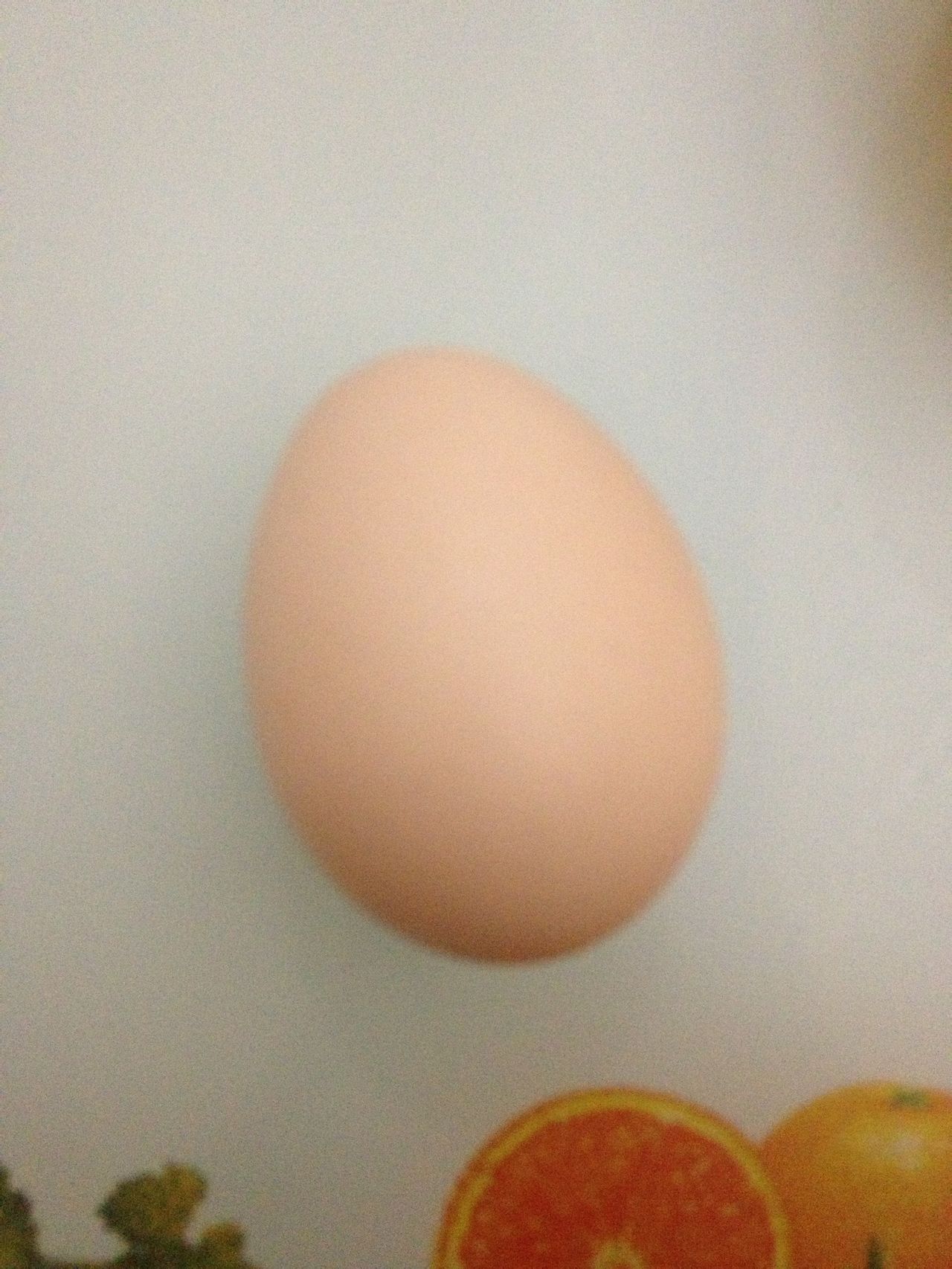 干貝燉蛋